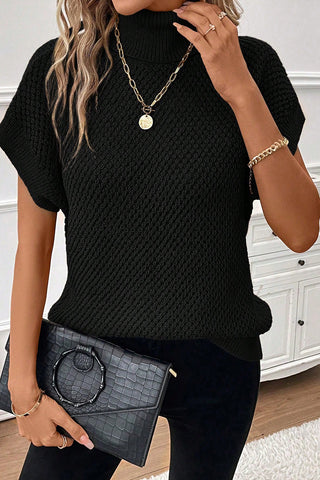 Ribbed Turtleneck Short Sleeve Sweater - 2 Colors